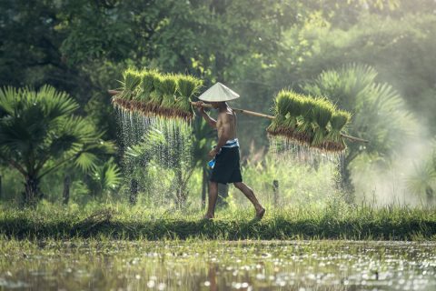 出让土地转让的条件