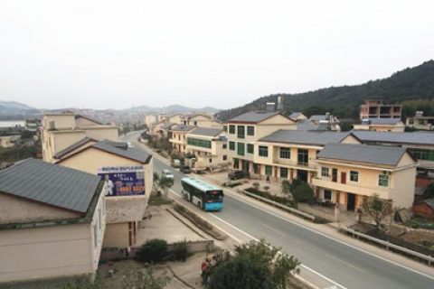 村干部违规征地怎么办