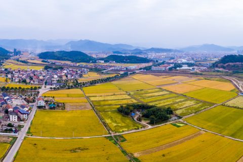 个人土地转让的增值税