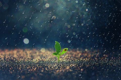 最新房地产土地增值税清算