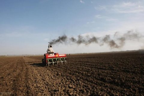 户口没在村里,当地房子的拆迁就没补偿?