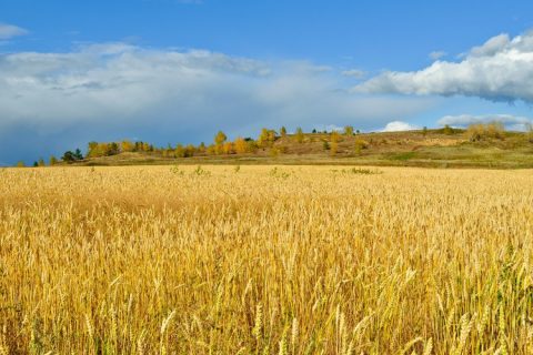 莞城二手房土地证过户费用