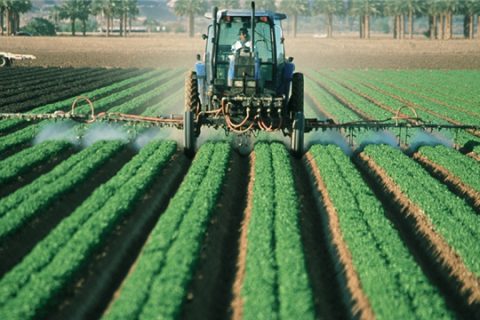 农村集体土地使用证怎么办？