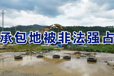 自家承包地被非法强占怎么办？3个方法助您夺回土地权益