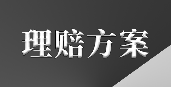 理赔方案